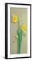 Narcissus-M^ Allegri-Framed Art Print