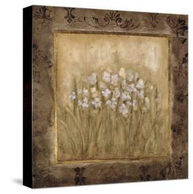 Narcissus-Mindeli-Stretched Canvas