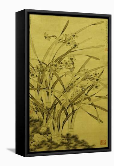 Narcissus-Ma Shouzhen-Framed Stretched Canvas