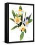 Narcissus-Hiroyuki Izutsu-Framed Stretched Canvas