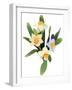 Narcissus-Hiroyuki Izutsu-Framed Giclee Print