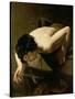 Narcissus-Jan Moreelse-Stretched Canvas