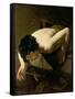 Narcissus-Jan Moreelse-Framed Stretched Canvas