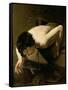 Narcissus-Jan Moreelse-Framed Stretched Canvas