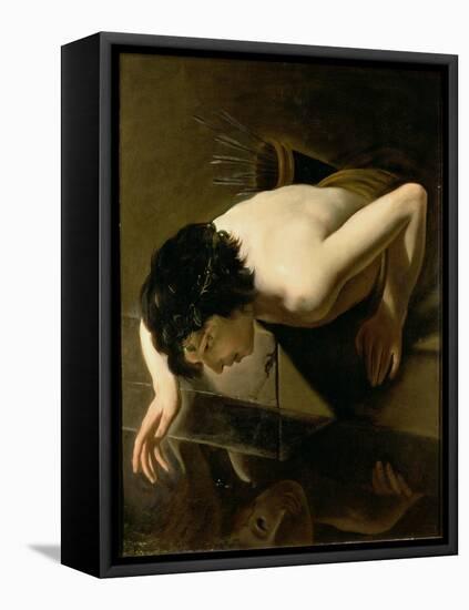Narcissus-Jan Moreelse-Framed Stretched Canvas