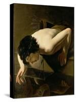 Narcissus-Jan Moreelse-Stretched Canvas