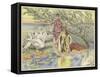 Narcissus-John Shenton Eland-Framed Stretched Canvas