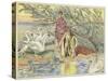 Narcissus-John Shenton Eland-Stretched Canvas
