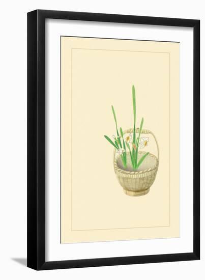 Narcissus-Sofu Teshigahara-Framed Art Print