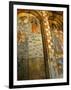 Narga Selassi Church, Isle of Dek, Lake Tana, Gondar Region, Ethiopia, Africa-Bruno Barbier-Framed Photographic Print