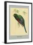 Narina Trogon-Louis Agassiz Fuertes-Framed Art Print