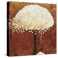 Narnia-Josefina-Stretched Canvas