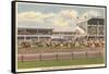 Narragansett Race Track, Pawtucket, Rhode Island-null-Framed Stretched Canvas