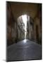 Narrow Alley with Old Buildings in Medieval Town of Pisa, Tuscany, Italy-adam.golabek-Mounted Photographic Print