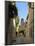 Narrow Back Street, St. Tropez, Var, Provence, Cote D'Azur, France, Europe-Peter Richardson-Mounted Photographic Print