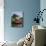 Narrow Boat and Lock, Aylesbury Arm of the Grand Union Canal, Buckinghamshire, England-Philip Craven-Mounted Photographic Print displayed on a wall