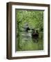 Narrow Boat Cruising the Llangollen Canal, England, United Kingdom, Europe-Richard Maschmeyer-Framed Photographic Print