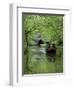 Narrow Boat Cruising the Llangollen Canal, England, United Kingdom, Europe-Richard Maschmeyer-Framed Photographic Print