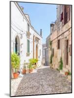 Narrow cobbled street in the old town of Matera, Basilicata, Italy, Europe-Karen Deakin-Mounted Photographic Print