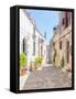 Narrow cobbled street in the old town of Matera, Basilicata, Italy, Europe-Karen Deakin-Framed Stretched Canvas