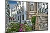 Narrow cobbled streets in Frigiana, Costa Del Sol, Malaga Province, Andalucia, Spain-Panoramic Images-Mounted Photographic Print