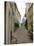 Narrow Cobblestone Street, Arles, Provence, France-Lisa S. Engelbrecht-Stretched Canvas