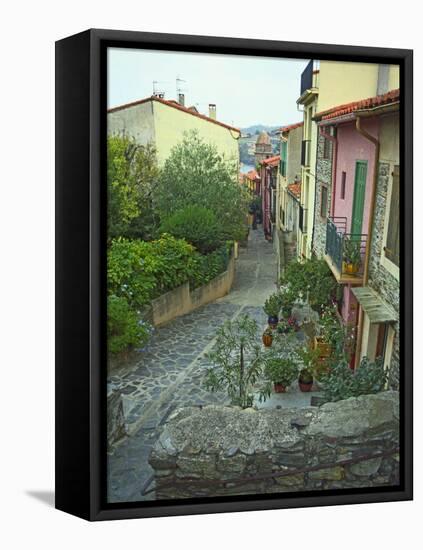 Narrow Cobblestone Street, Fishing Village, Collioure, Languedoc-Roussillon, France-Per Karlsson-Framed Stretched Canvas