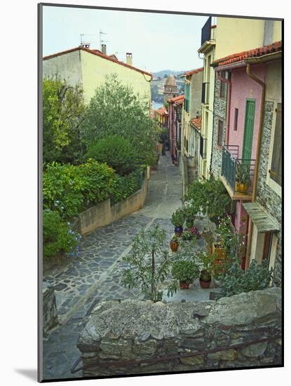Narrow Cobblestone Street, Fishing Village, Collioure, Languedoc-Roussillon, France-Per Karlsson-Mounted Photographic Print