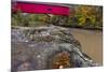 Narrow Covered Bridge over Sugar Creek in Parke County, Indiana, USA-Chuck Haney-Mounted Photographic Print