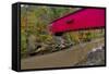 Narrow Covered Bridge over Sugar Creek in Parke County, Indiana, USA-Chuck Haney-Framed Stretched Canvas