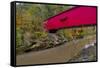 Narrow Covered Bridge over Sugar Creek in Parke County, Indiana, USA-Chuck Haney-Framed Stretched Canvas