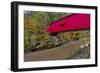 Narrow Covered Bridge over Sugar Creek in Parke County, Indiana, USA-Chuck Haney-Framed Photographic Print