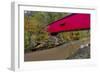 Narrow Covered Bridge over Sugar Creek in Parke County, Indiana, USA-Chuck Haney-Framed Photographic Print