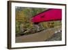 Narrow Covered Bridge over Sugar Creek in Parke County, Indiana, USA-Chuck Haney-Framed Photographic Print