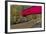 Narrow Covered Bridge over Sugar Creek in Parke County, Indiana, USA-Chuck Haney-Framed Photographic Print