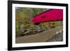 Narrow Covered Bridge over Sugar Creek in Parke County, Indiana, USA-Chuck Haney-Framed Photographic Print