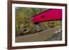 Narrow Covered Bridge over Sugar Creek in Parke County, Indiana, USA-Chuck Haney-Framed Photographic Print