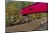 Narrow Covered Bridge over Sugar Creek in Parke County, Indiana, USA-Chuck Haney-Mounted Photographic Print