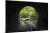 Narrow-gauge heritage railway track for the Sargan Eight train, Mokra Gora, Serbia-Keren Su-Mounted Photographic Print