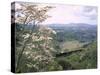 Narrow Gauge Rail Line Transporting Goods Between Guatemala and El Salvador-John Dominis-Stretched Canvas