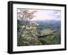 Narrow Gauge Rail Line Transporting Goods Between Guatemala and El Salvador-John Dominis-Framed Photographic Print