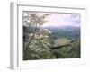 Narrow Gauge Rail Line Transporting Goods Between Guatemala and El Salvador-John Dominis-Framed Photographic Print