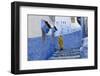 Narrow Lane, Chefchaouen, Morocco-Peter Adams-Framed Photographic Print