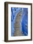 Narrow Lane, Chefchaouen, Morocco-Peter Adams-Framed Photographic Print