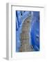 Narrow Lane, Chefchaouen, Morocco-Peter Adams-Framed Photographic Print