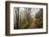 Narrow Path-Danny Head-Framed Photographic Print