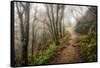 Narrow Path-Danny Head-Framed Stretched Canvas