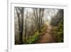 Narrow Path-Danny Head-Framed Photographic Print