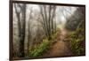 Narrow Path-Danny Head-Framed Photographic Print