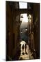 Narrow Street, Imperia, Liguria, Italy, Europe-Frank Fell-Mounted Photographic Print